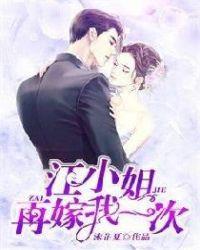 江小姐再嫁我一次百度