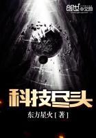 神医毒妃白鹤染的双胞胎大哥是谁