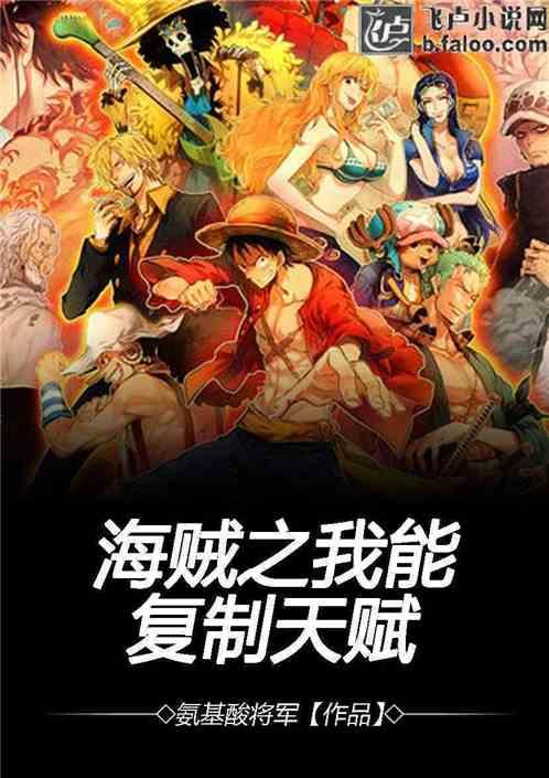 海贼之复制飞卢
