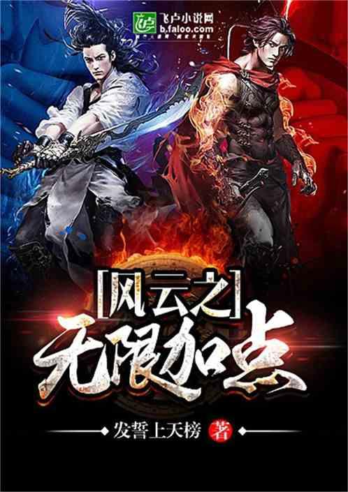 风云之无限加点卡夜阁