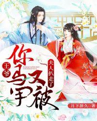王爷你马甲又被夫人扒走了无双公子