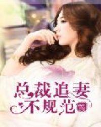 总裁追妻推荐