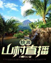 桃源山村是属于什么