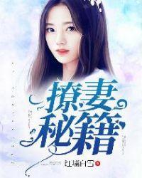 撩妻秘籍免费阅读