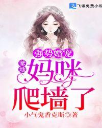 妈咪爬墙了 笔趣阁