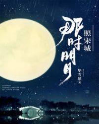 那时明月照宋城txt书包网