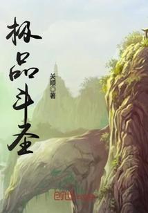 极品法斗价格