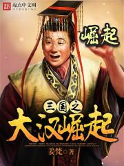 三国之大汉崛起txt全本