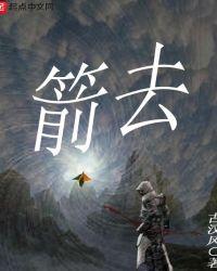 箭去不回头