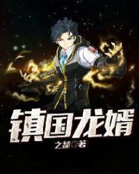 镇国龙婿全集短剧