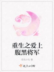 穿越之爱上腹黑王爷电视剧