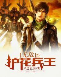 校园之护花兵王