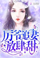 裴少追妻太放肆