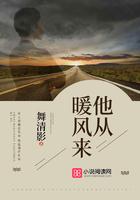 他从暖风来舞清影全文阅读