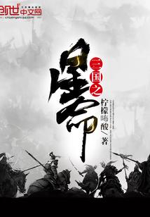 武圣三国升星