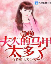 夫人马甲太多怎么办