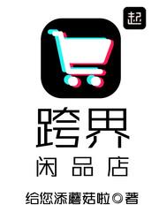 跨界闲品店女主角