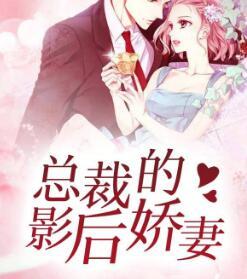 总裁影后隐婚有娃