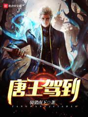 唐王驾到百度百科