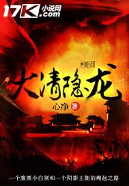 大清隐龙全文TXT