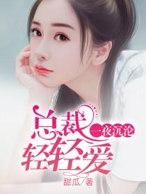 一夜沉沦总裁轻轻爱大结局