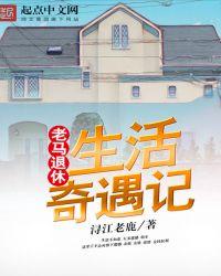老马的退休生活奇遇
