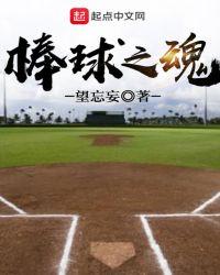 棒球之魂txt精校