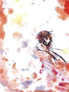 宇文适宋兰葵免费