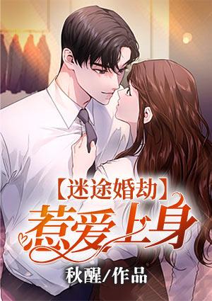 迷途全文免费
