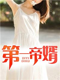 第一帝婿陈青帝