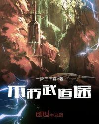 武道漫途txt