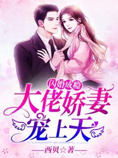 闪婚成瘾大佬娇妻宠上天全文免费阅读一