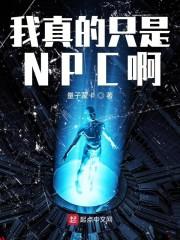 我真的只是NPC啊txt