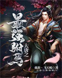 大唐之最强驸马免费阅读