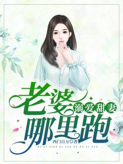 溺妻成瘾重生妻子甜如蜜