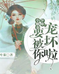 少帅小妻铿锵玫瑰