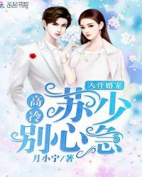 入骨宠婚陆少别闹
