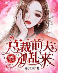 婚情告急前妻别来无