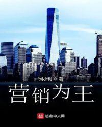 营销为王的理解