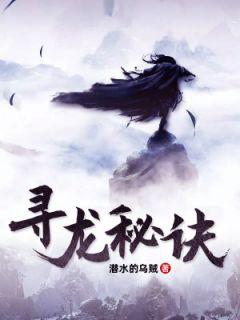 寻龙秘诀txt全本
