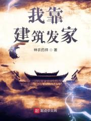 我靠建筑发家txt八零
