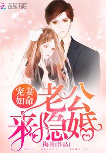 宠妻如命老公来隐婚免费