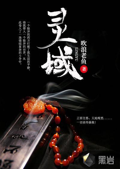 灵域电视剧
