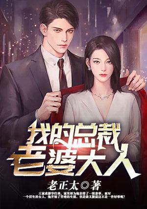 我的总裁老婆大人gl