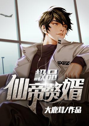 极品仙帝赘婿TXT