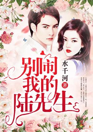 别闹我的陆先生