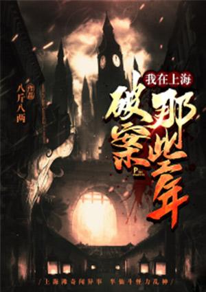 我在上海破案那些年评分