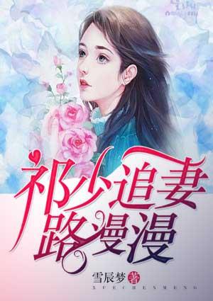 祁少追妻路太难免费完整版