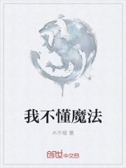 我不会魔法怎么办