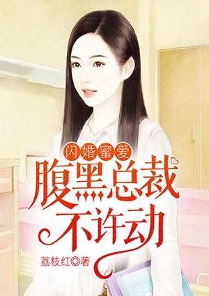 闪婚蜜爱腹黑老公宠不够